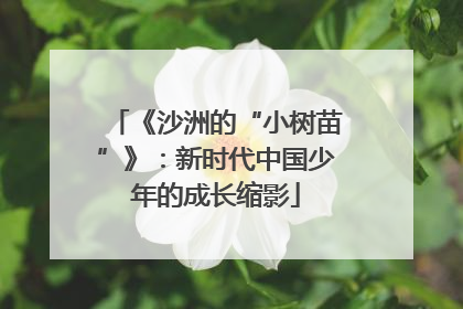 《沙洲的“小树苗”》：新时代中国少年的成长缩影
