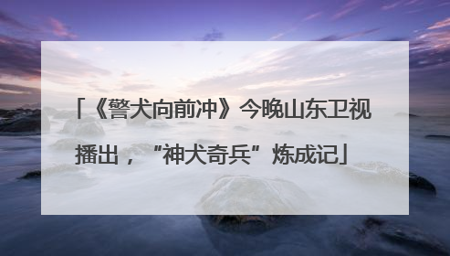 《警犬向前冲》今晚山东卫视播出，“神犬奇兵”炼成记