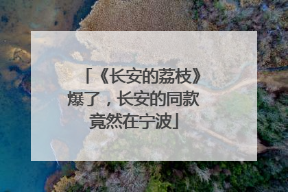 《长安的荔枝》爆了，长安的同款竟然在宁波