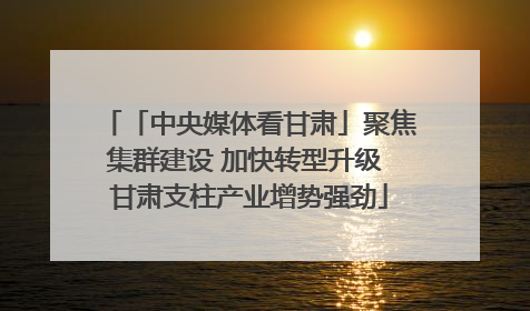 「中央媒体看甘肃」聚焦集群建设 加快转型升级 甘肃支柱产业增势强劲