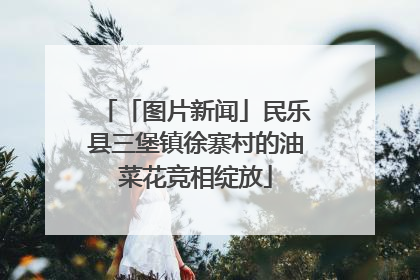 「图片新闻」民乐县三堡镇徐寨村的油菜花竞相绽放