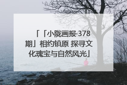 「小陇画报·378期」相约镇原 探寻文化瑰宝与自然风光