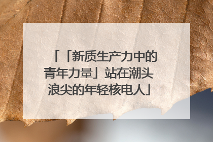 「新质生产力中的青年力量」站在潮头浪尖的年轻核电人