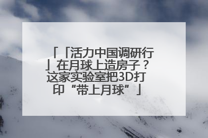 「活力中国调研行」在月球上造房子？这家实验室把3D打印“带上月球”