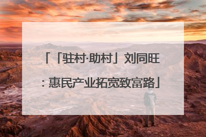 「驻村·助村」刘同旺：惠民产业拓宽致富路