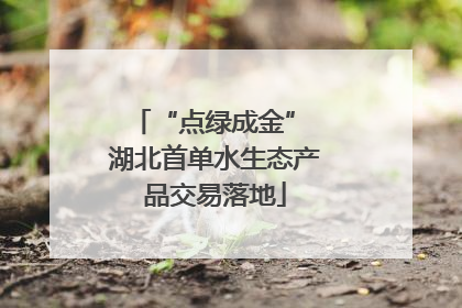 “点绿成金” 湖北首单水生态产品交易落地
