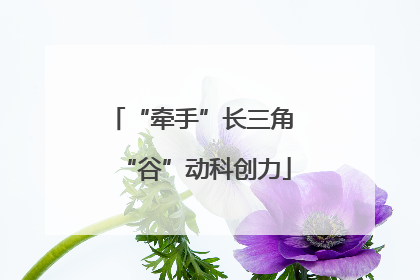 “牵手”长三角 “谷”动科创力
