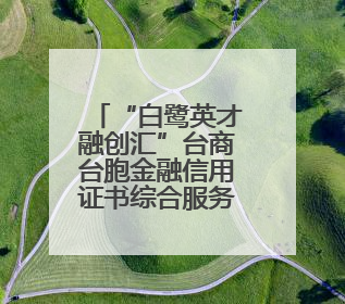 “白鹭英才融创汇”台商台胞金融信用证书综合服务政策发布会在厦门市集美区成功举办