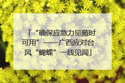“确保应急力量随时可用”——广西应对台风“蝴蝶”一线见闻