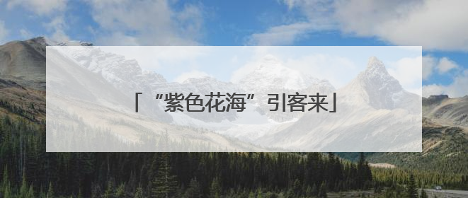 “紫色花海”引客来