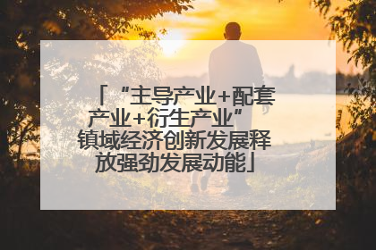 “主导产业+配套产业+衍生产业” 镇域经济创新发展释放强劲发展动能