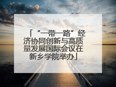 “一带一路”经济协同创新与高质量发展国际会议在新乡学院举办