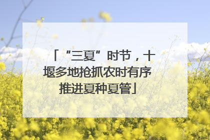 “三夏”时节，十堰多地抢抓农时有序推进夏种夏管