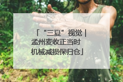 “三夏”视觉｜孟州麦收正当时 机械减损保归仓