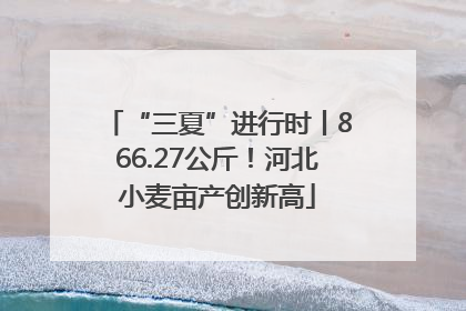 “三夏”进行时丨866.27公斤！河北小麦亩产创新高