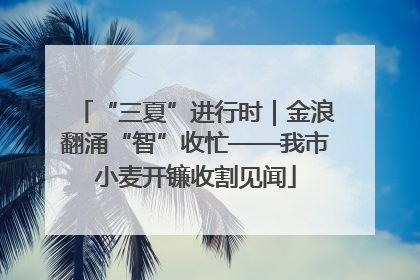 “三夏”进行时｜金浪翻涌“智”收忙——我市小麦开镰收割见闻