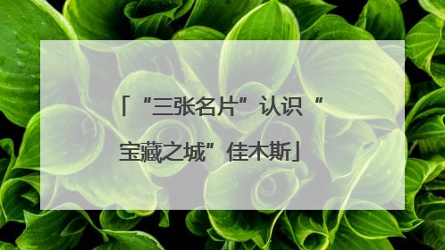 “三张名片”认识“宝藏之城”佳木斯