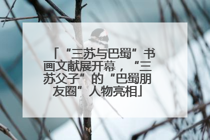 “三苏与巴蜀”书画文献展开幕，“三苏父子”的“巴蜀朋友圈”人物亮相