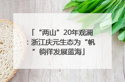 “两山”20年观澜：浙江庆元生态为“帆”徜徉发展蓝海