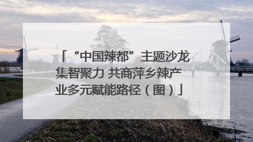 “中国辣都”主题沙龙集智聚力 共商萍乡辣产业多元赋能路径（图）