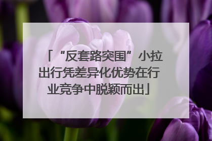 “反套路突围”小拉出行凭差异化优势在行业竞争中脱颖而出