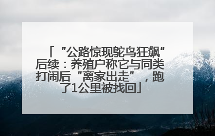 “公路惊现鸵鸟狂飙”后续：养殖户称它与同类打闹后“离家出走”，跑了1公里被找回