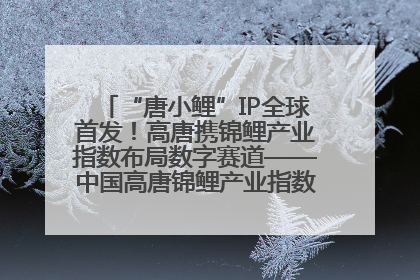 “唐小鲤”IP全球首发！高唐携锦鲤产业指数布局数字赛道——中国高唐锦鲤产业指数暨“唐小鲤”IP全球首发仪式在杭州举行