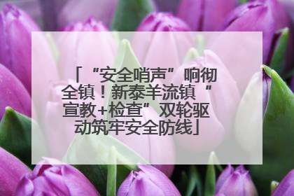 “安全哨声”响彻全镇！新泰羊流镇“宣教+检查”双轮驱动筑牢安全防线