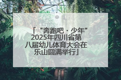 “奔跑吧・少年”2025年四川省第八届幼儿体育大会在乐山圆满举行