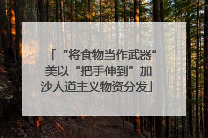 “将食物当作武器” 美以“把手伸到”加沙人道主义物资分发