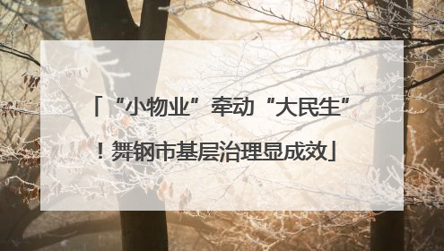 “小物业”牵动“大民生”！舞钢市基层治理显成效