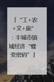 “工+农+文+旅”：丰城市镇域经济“蝶变密码”