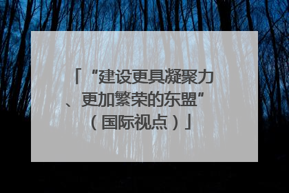 “建设更具凝聚力、更加繁荣的东盟”（国际视点）