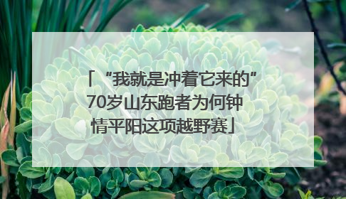 “我就是冲着它来的” 70岁山东跑者为何钟情平阳这项越野赛