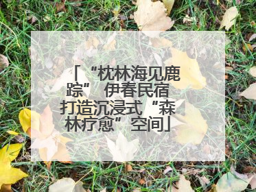 “枕林海见鹿踪” 伊春民宿打造沉浸式“森林疗愈”空间