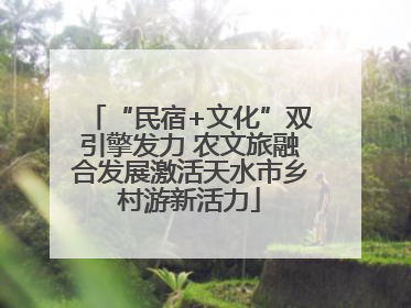 “民宿+文化”双引擎发力 农文旅融合发展激活天水市乡村游新活力