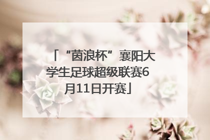 “茵浪杯”襄阳大学生足球超级联赛6月11日开赛