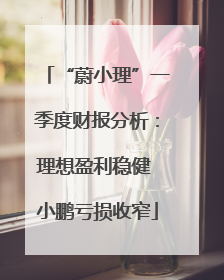 “蔚小理”一季度财报分析：理想盈利稳健 小鹏亏损收窄