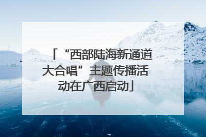 “西部陆海新通道大合唱”主题传播活动在广西启动