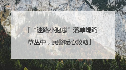 “迷路小狍崽”落单蜷缩草丛中，民警暖心救助