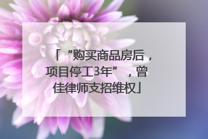 “购买商品房后，项目停工3年”，曾佳律师支招维权