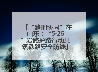 “路地协同”在山东：“5·26”爱路护路行动共筑铁路安全防线