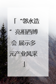 “邻水造”亮相西博会 展示多元产业风采