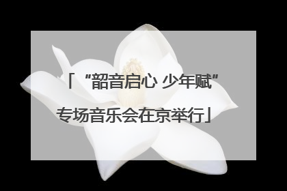 “韶音启心 少年赋”专场音乐会在京举行