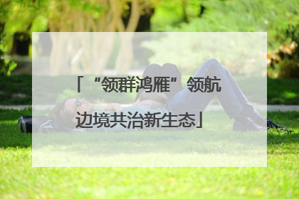 “领群鸿雁”领航边境共治新生态