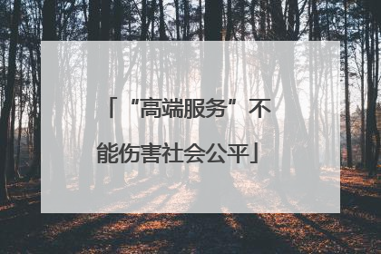 “高端服务”不能伤害社会公平