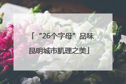 “26个字母”品味昆明城市肌理之美