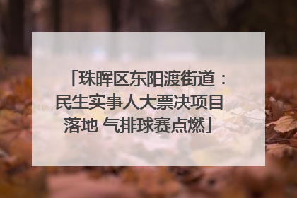 珠晖区东阳渡街道：民生实事人大票决项目落地 气排球赛点燃