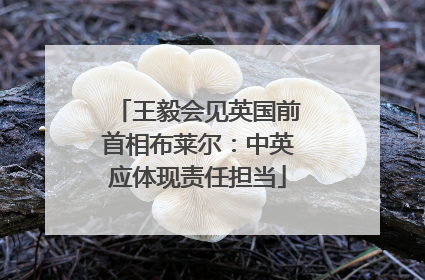 王毅会见英国前首相布莱尔：中英应体现责任担当
