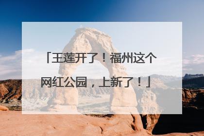 王莲开了！福州这个网红公园，上新了！